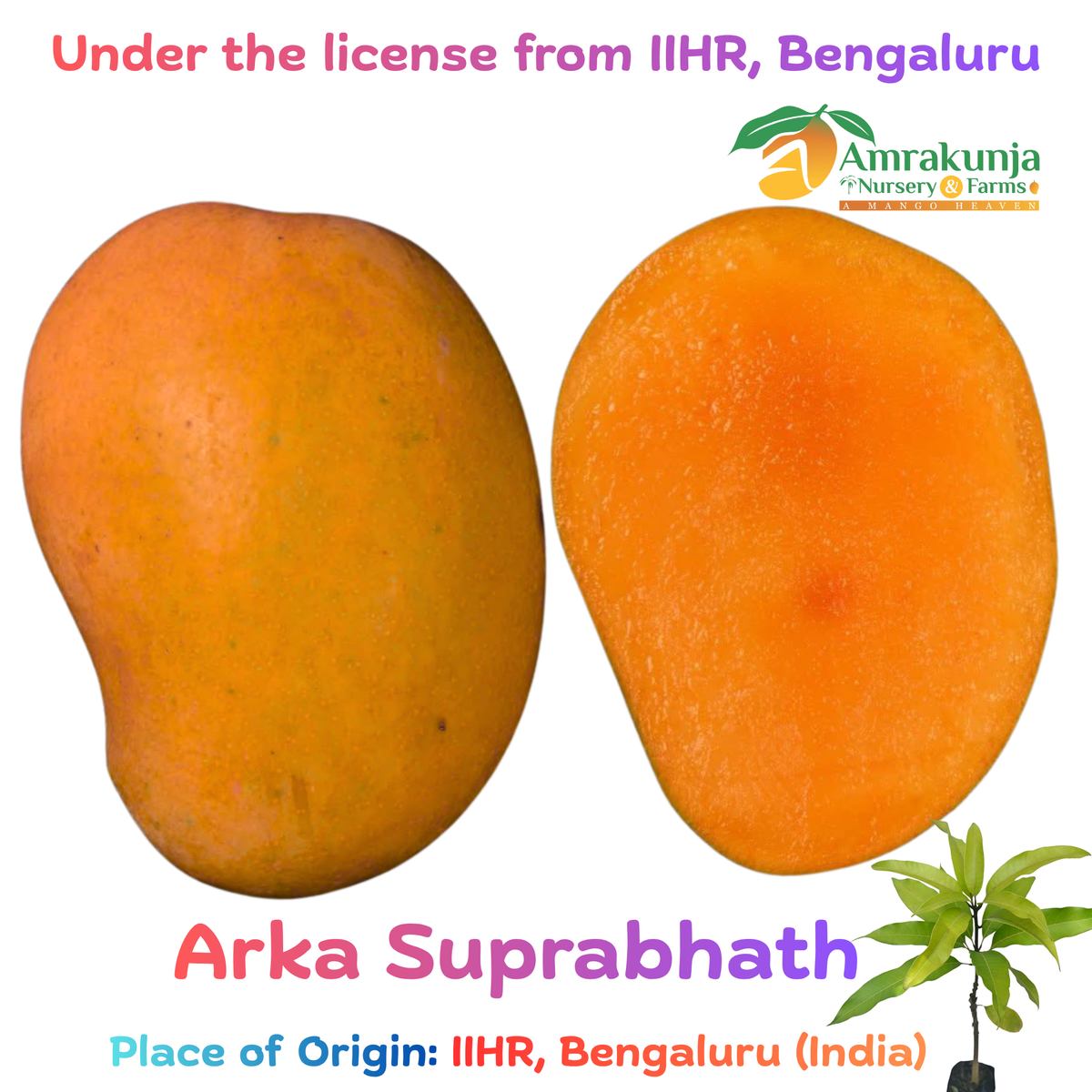 Arka Suprabhath