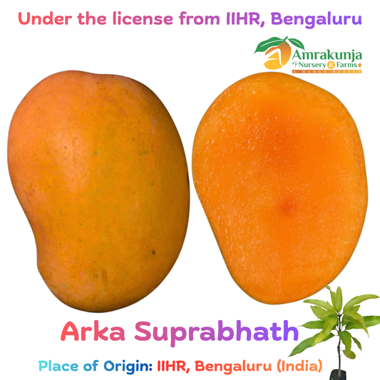 Arka Suprabhath