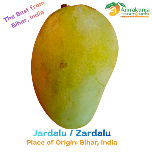 Jardalu / Zardalu