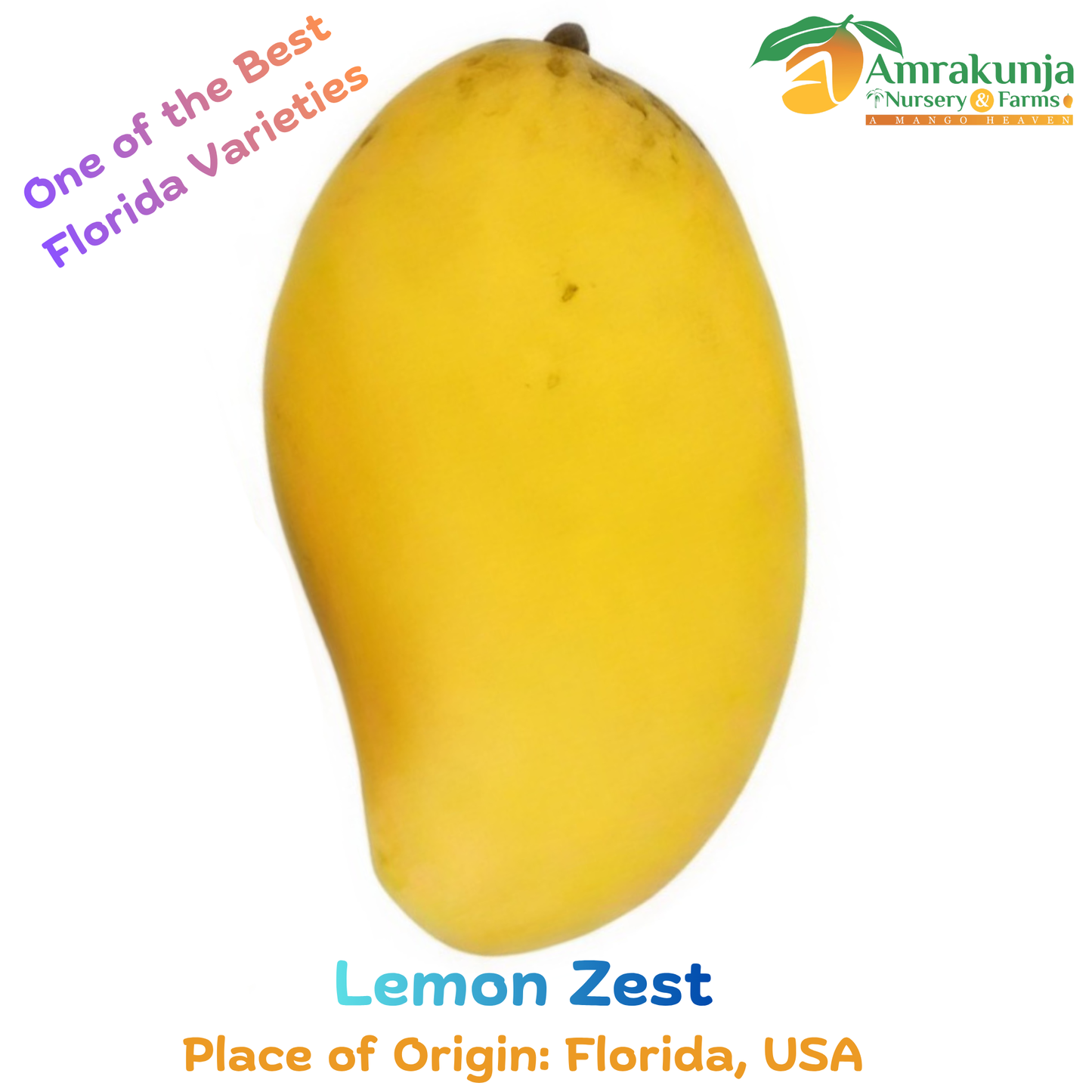 Lemon Zest