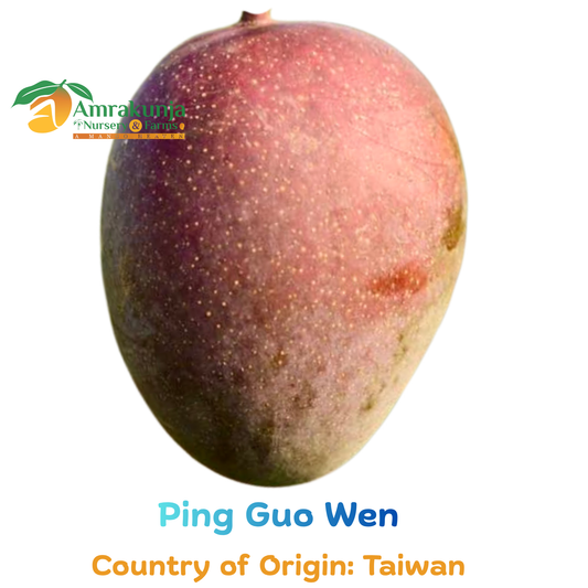 Ping Guo Wen (蘋果文)