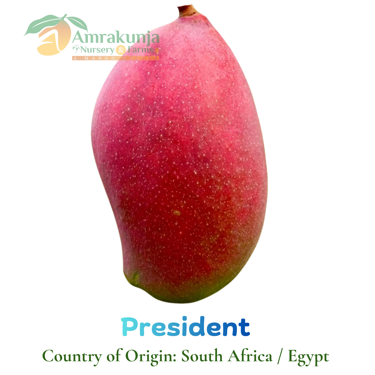President