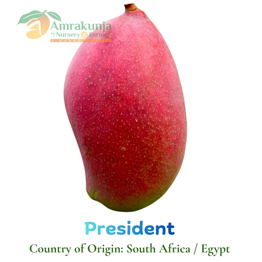 President