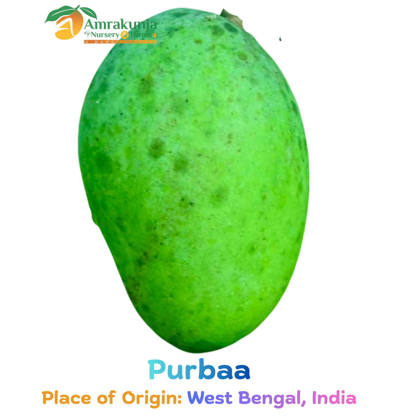 Purbaa