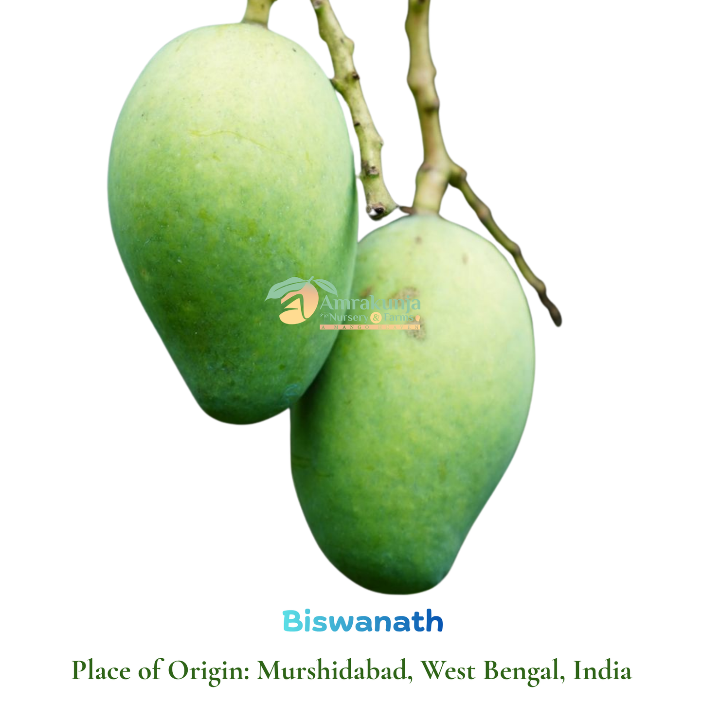 Biswanath
