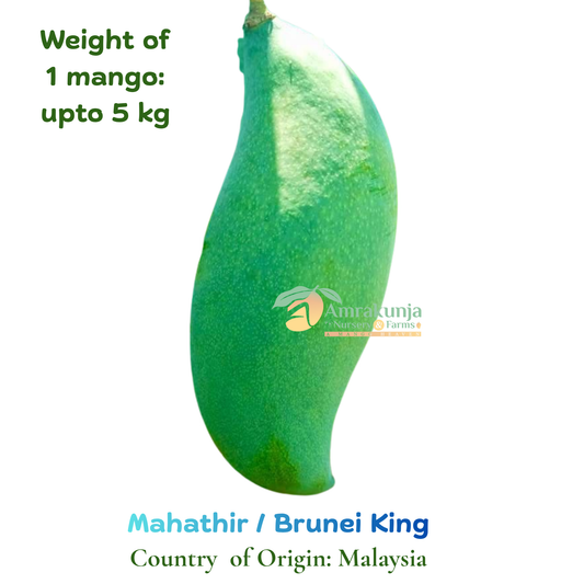 Brunei King / Mahathir