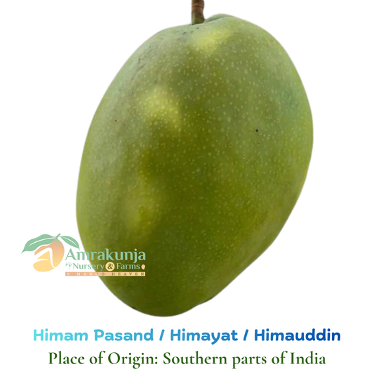 Himayat / Himam Pasand / Imam Pasand / Himayuddin