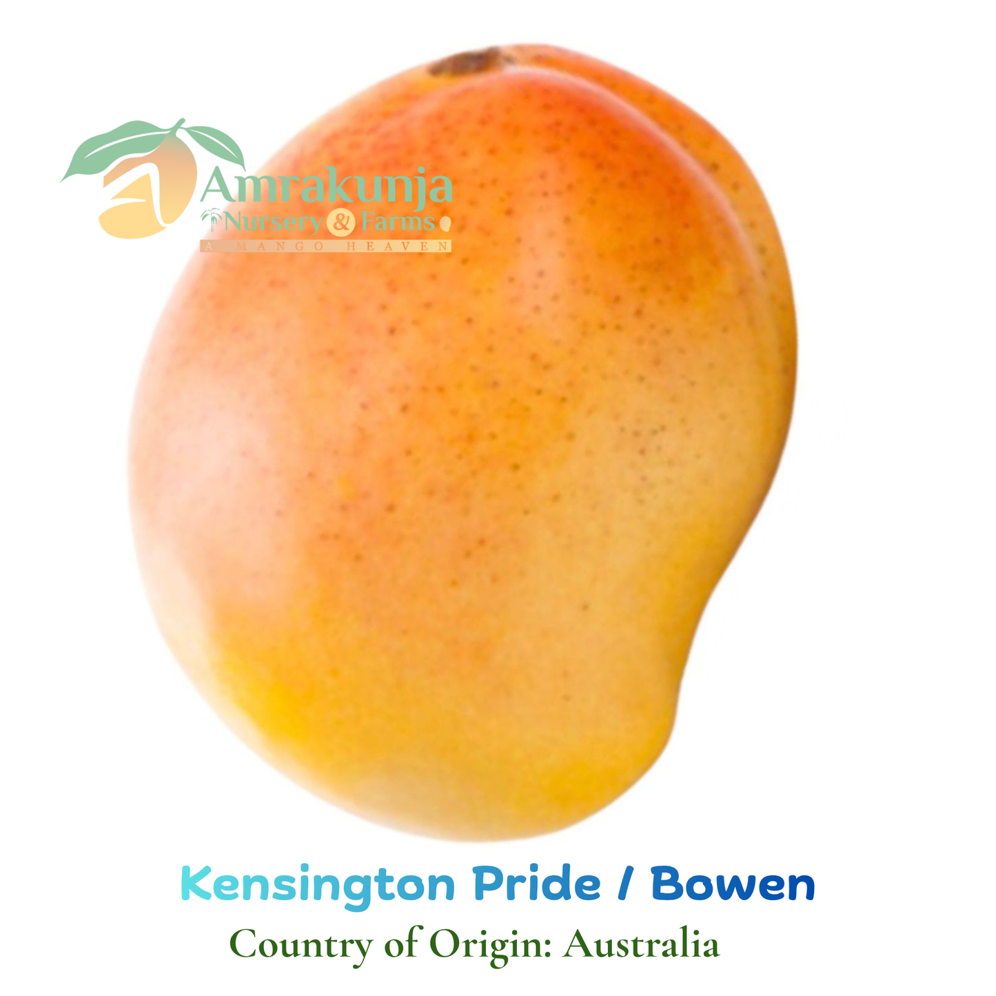 Kensington Pride