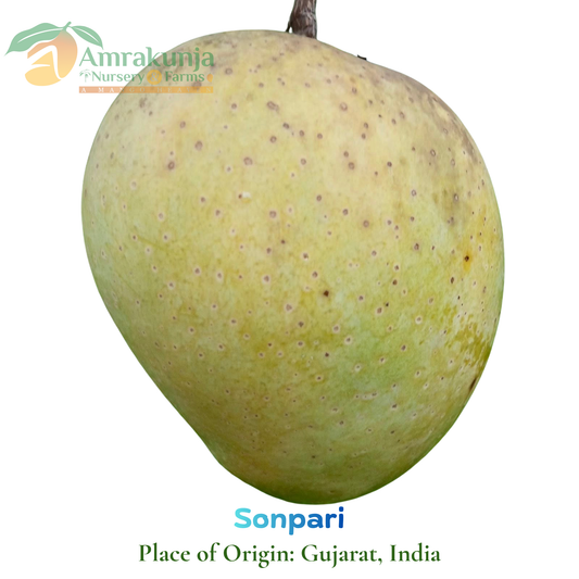 Sonpari