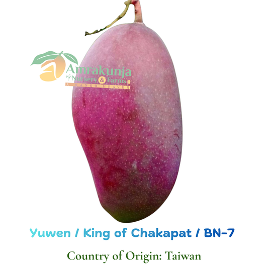 Yuwen / BN 7 / King of Chakapat / Taiwan Red / Dang Jakkrapad / Red Emperor