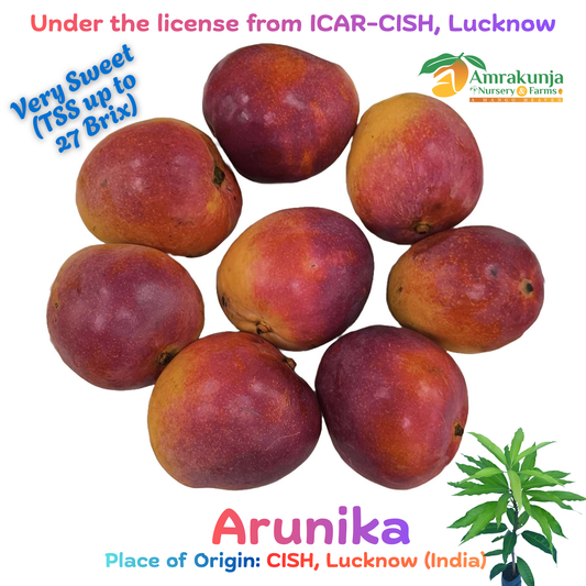 Arunika / CISH-Arunika