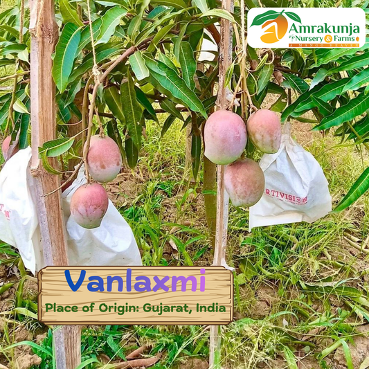 Vanlaxmi