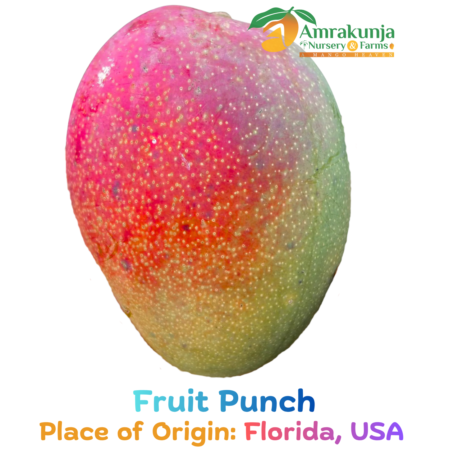 Fruit Punch