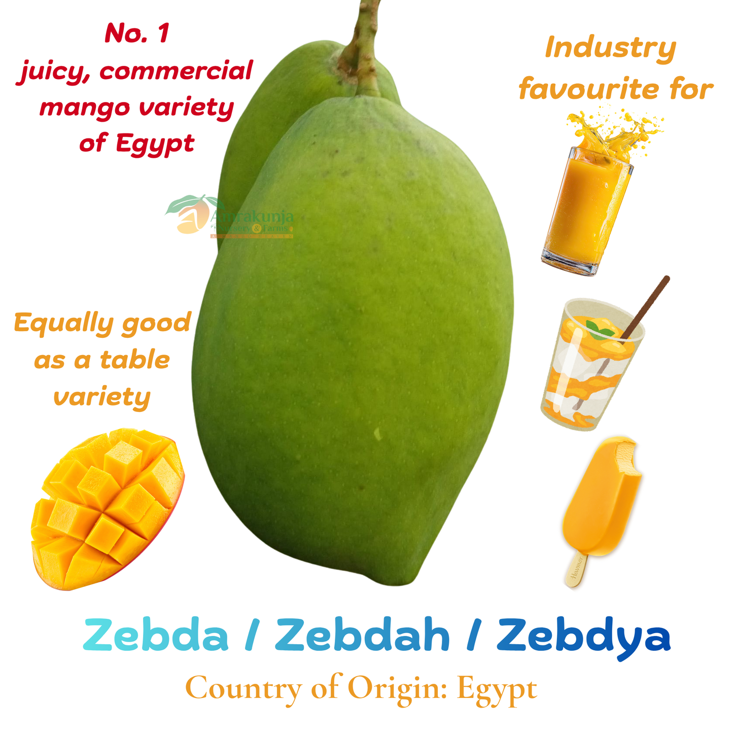 Zebda / Zebdah / Zebdya