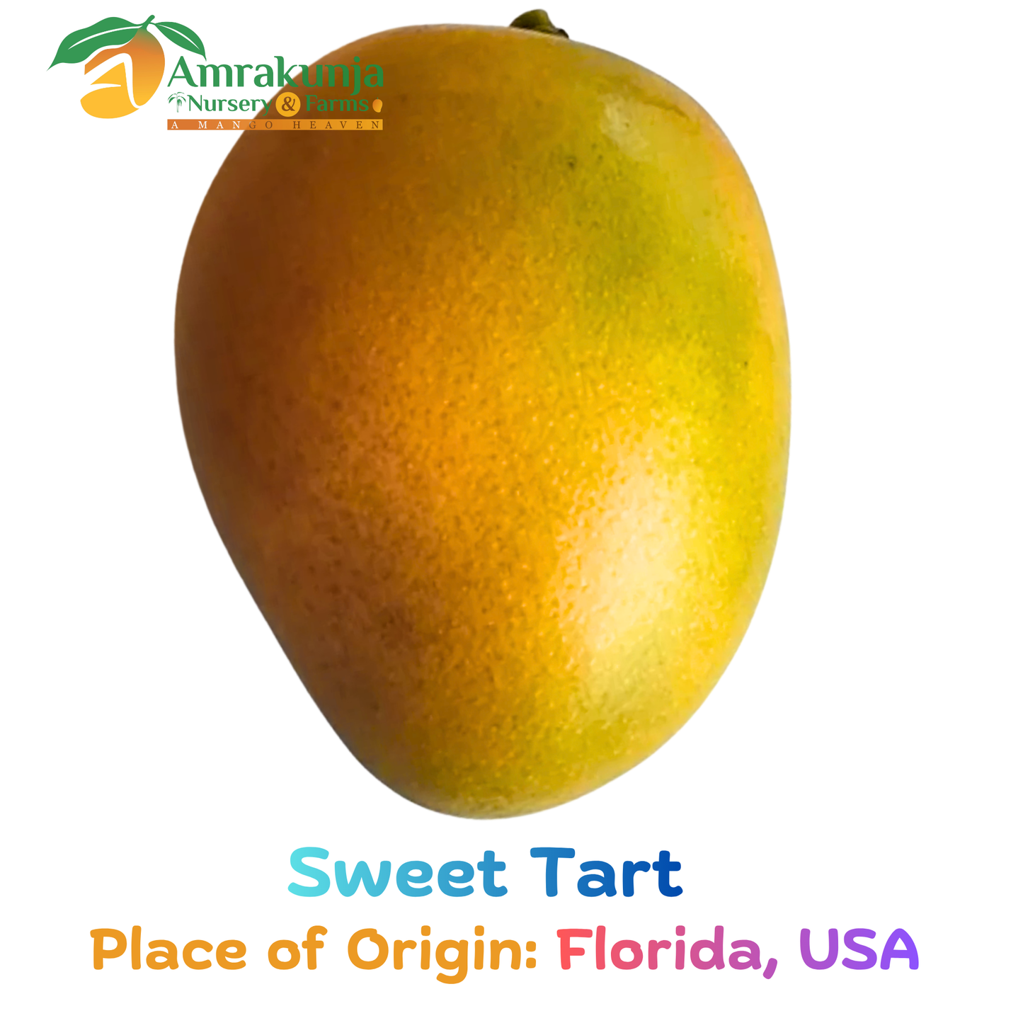 Sweet Tart